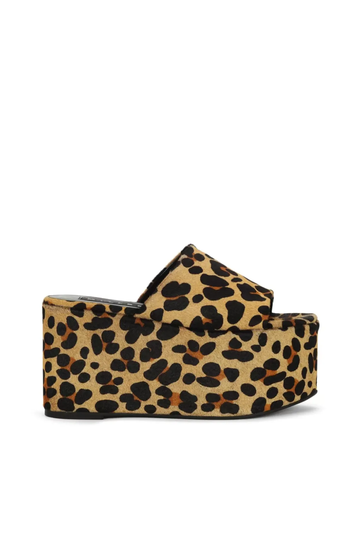 Blackout Platform