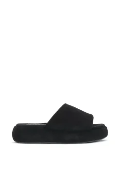 Terry Slide